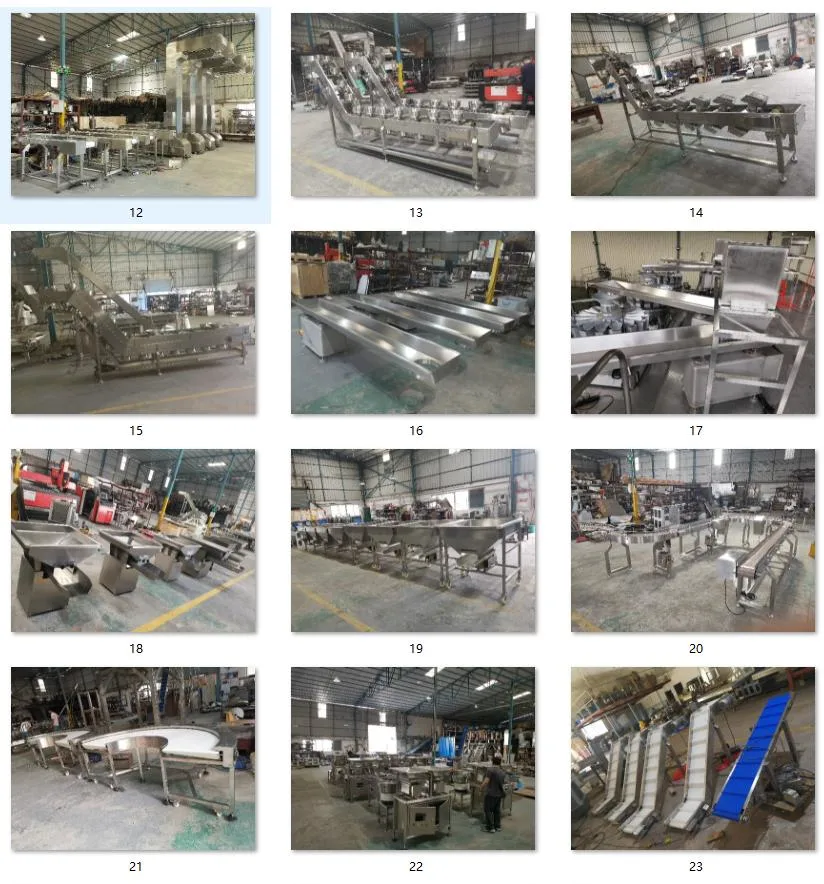 Material Handling Equipment for The Food Processing Line Food Conveyors