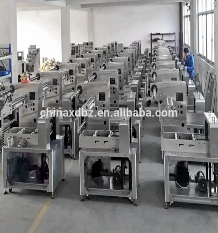 Automatic Small Biscuits/Fish Ball/Frozen Dumpling Back Sealing Flow Packing Machine